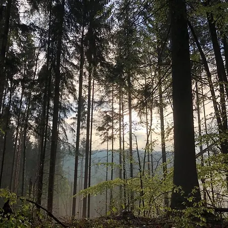 Rustikale Holzhutte Campsite *